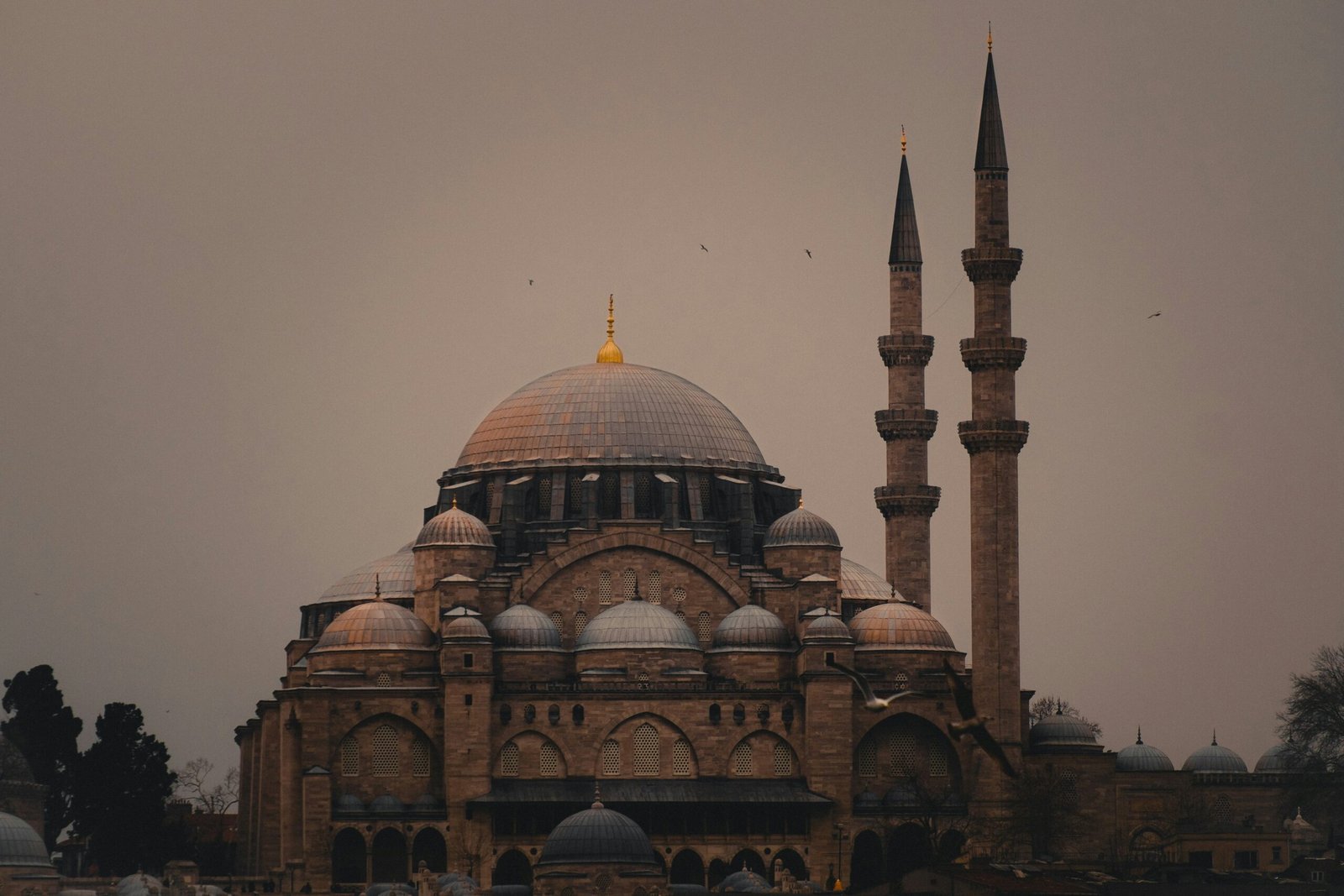 tolga-ahmetler-65R1UjSK__I-unsplash